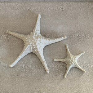 Starfish decor Set of 2